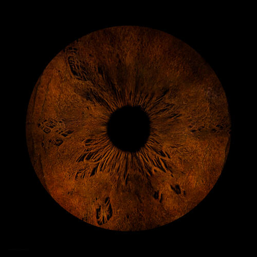 A photo of the eye of the website's creator.