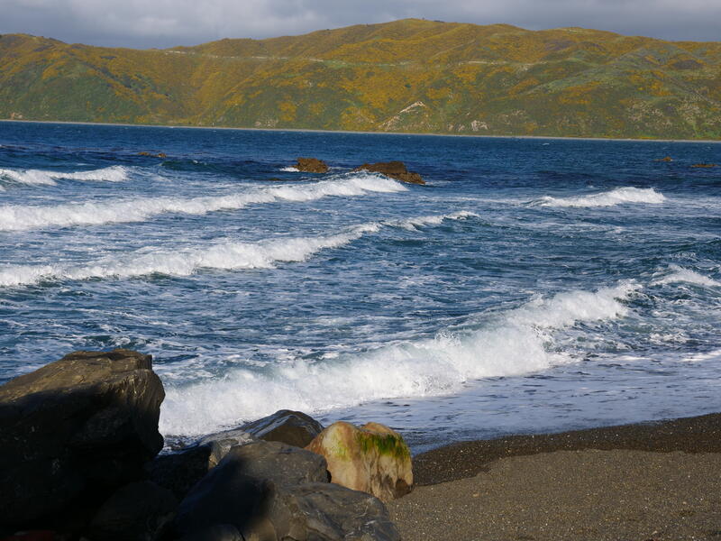 Some very pretty waves.